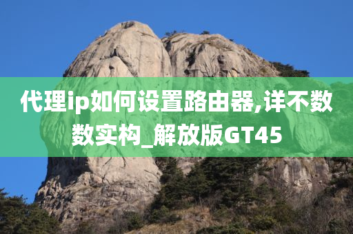 代理ip如何设置路由器,详不数数实构_解放版GT45