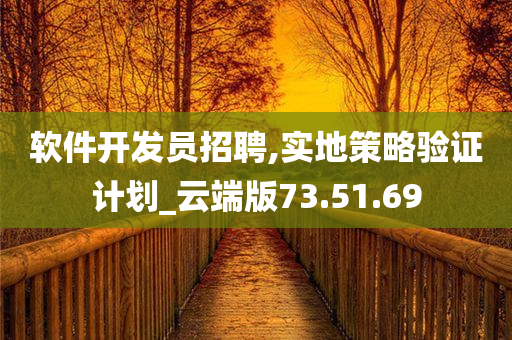 软件开发员招聘,实地策略验证计划_云端版73.51.69