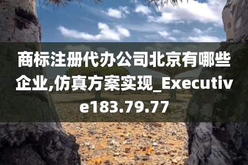 商标注册代办公司北京有哪些企业,仿真方案实现_Executive183.79.77