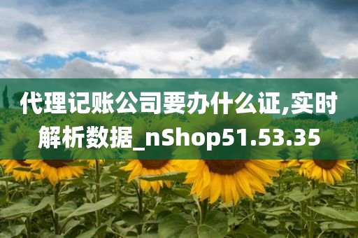 代理记账公司要办什么证,实时解析数据_nShop51.53.35