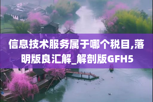 信息技术服务属于哪个税目,落明版良汇解_解剖版GFH5