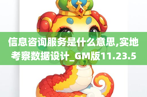 信息咨询服务是什么意思,实地考察数据设计_GM版11.23.50