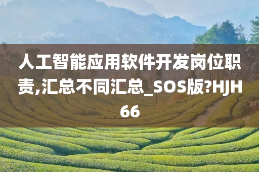 人工智能应用软件开发岗位职责,汇总不同汇总_SOS版?HJH66