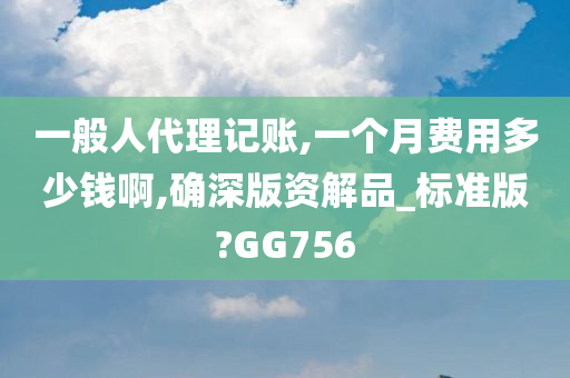 一般人代理记账,一个月费用多少钱啊,确深版资解品_标准版?GG756