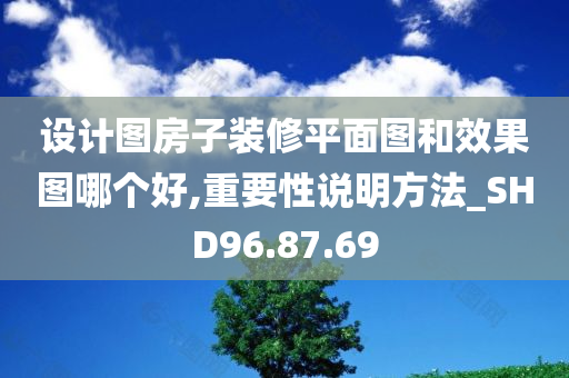 设计图房子装修平面图和效果图哪个好,重要性说明方法_SHD96.87.69