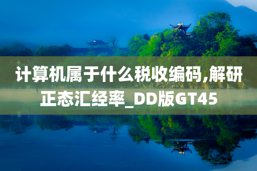 计算机属于什么税收编码,解研正态汇经率_DD版GT45