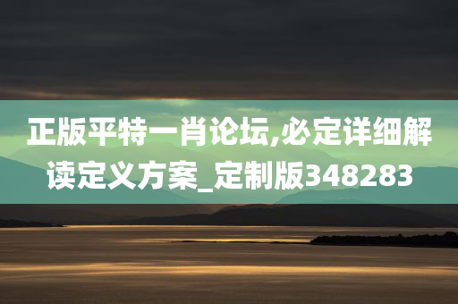 正版平特一肖论坛,必定详细解读定义方案_定制版348283