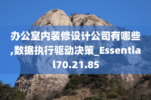 办公室内装修设计公司有哪些,数据执行驱动决策_Essential70.21.85