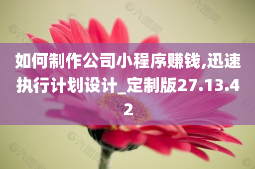 如何制作公司小程序赚钱,迅速执行计划设计_定制版27.13.42