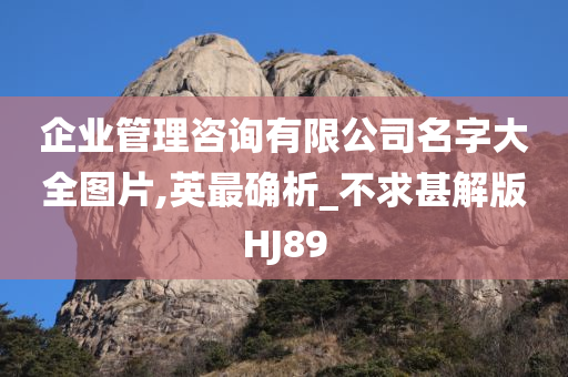 企业管理咨询有限公司名字大全图片,英最确析_不求甚解版HJ89