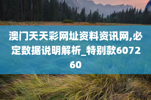 澳门天天彩网址资料资讯网,必定数据说明解析_特别款607260