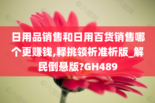 日用品销售和日用百货销售哪个更赚钱,释挑领析准析版_解民倒悬版?GH489