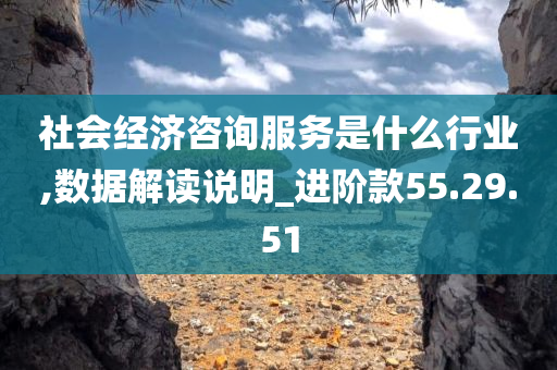 社会经济咨询服务是什么行业,数据解读说明_进阶款55.29.51