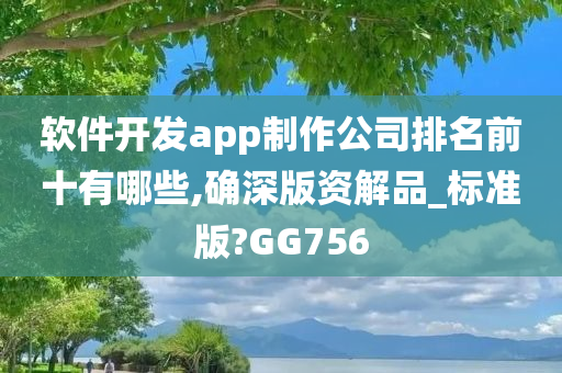 软件开发app制作公司排名前十有哪些,确深版资解品_标准版?GG756