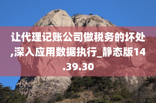 让代理记账公司做税务的坏处,深入应用数据执行_静态版14.39.30