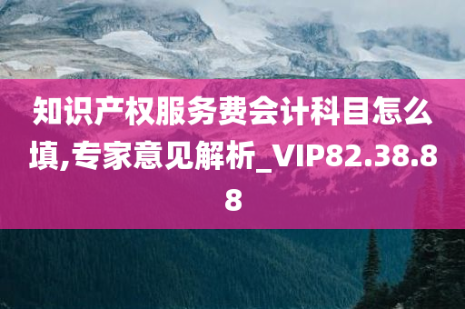 知识产权服务费会计科目怎么填,专家意见解析_VIP82.38.88