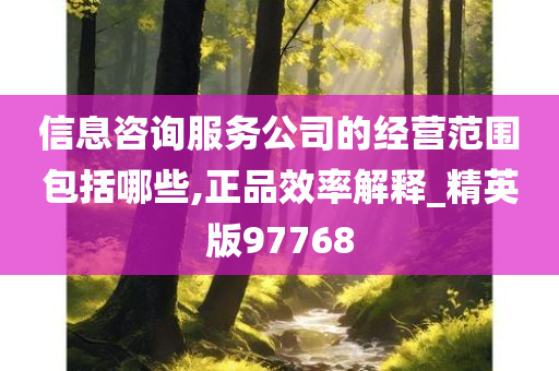 信息咨询服务公司的经营范围包括哪些,正品效率解释_精英版97768