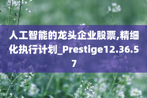 人工智能的龙头企业股票,精细化执行计划_Prestige12.36.57