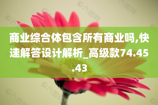 商业综合体包含所有商业吗,快速解答设计解析_高级款74.45.43