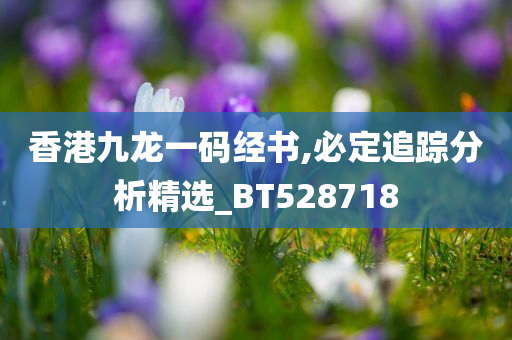 香港九龙一码经书,必定追踪分析精选_BT528718