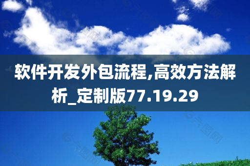 软件开发外包流程,高效方法解析_定制版77.19.29