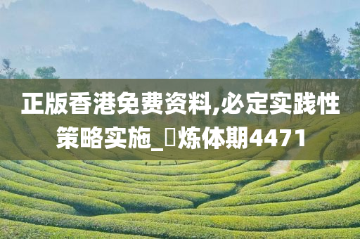 正版香港免费资料,必定实践性策略实施_‌炼体期4471