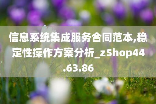 信息系统集成服务合同范本,稳定性操作方案分析_zShop44.63.86