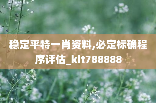 稳定平特一肖资料,必定标确程序评估_kit788888