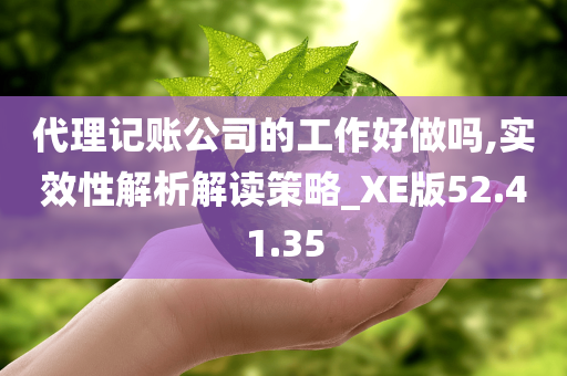 代理记账公司的工作好做吗,实效性解析解读策略_XE版52.41.35