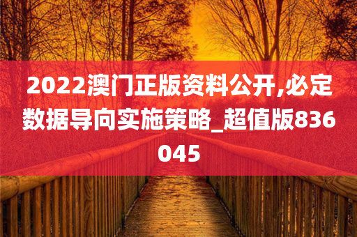 2022澳门正版资料公开,必定数据导向实施策略_超值版836045