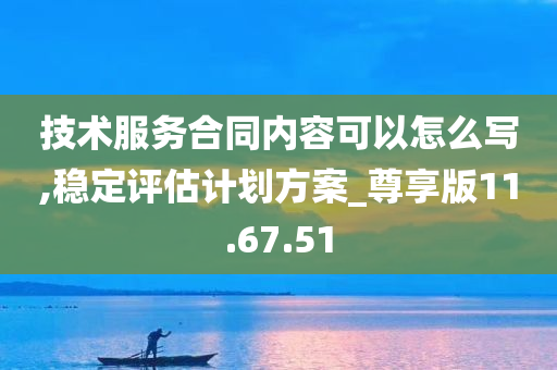 技术服务合同内容可以怎么写,稳定评估计划方案_尊享版11.67.51