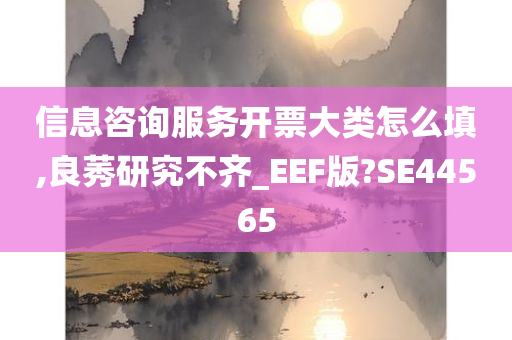 信息咨询服务开票大类怎么填,良莠研究不齐_EEF版?SE44565