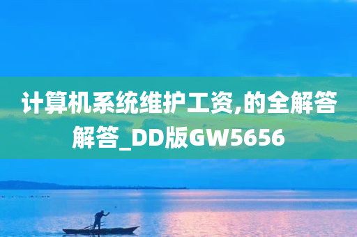 计算机系统维护工资,的全解答解答_DD版GW5656