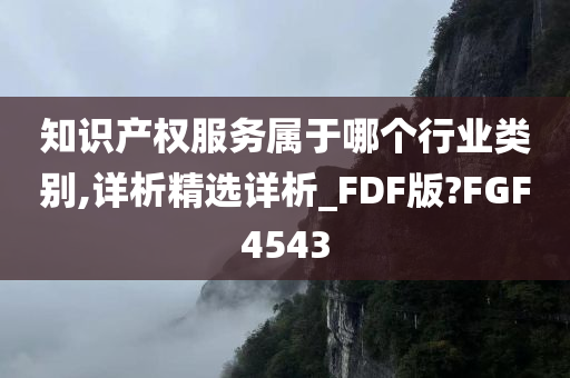 知识产权服务属于哪个行业类别,详析精选详析_FDF版?FGF4543