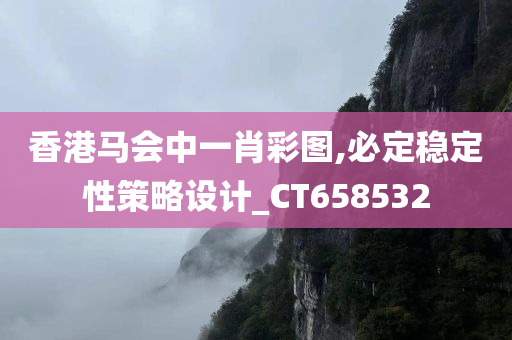 香港马会中一肖彩图,必定稳定性策略设计_CT658532