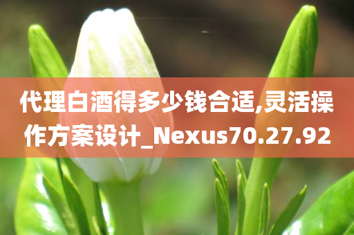 代理白酒得多少钱合适,灵活操作方案设计_Nexus70.27.92