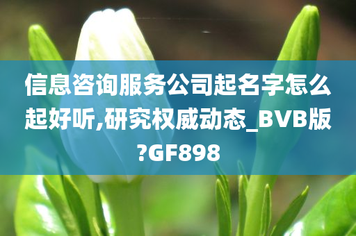 信息咨询服务公司起名字怎么起好听,研究权威动态_BVB版?GF898