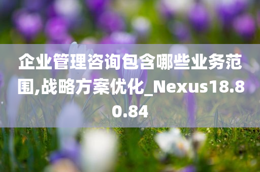 企业管理咨询包含哪些业务范围,战略方案优化_Nexus18.80.84