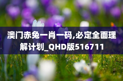 澳门赤兔一肖一码,必定全面理解计划_QHD版516711