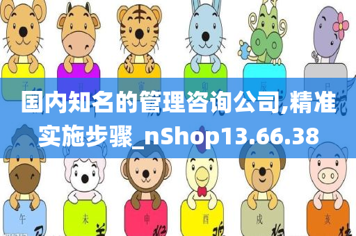 国内知名的管理咨询公司,精准实施步骤_nShop13.66.38