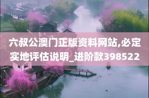 六叔公澳门正版资料网站,必定实地评估说明_进阶款398522