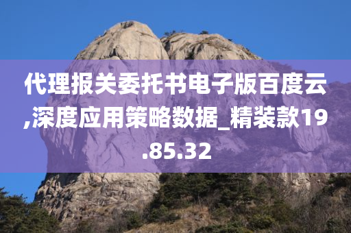 代理报关委托书电子版百度云,深度应用策略数据_精装款19.85.32