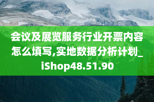 会议及展览服务行业开票内容怎么填写,实地数据分析计划_iShop48.51.90