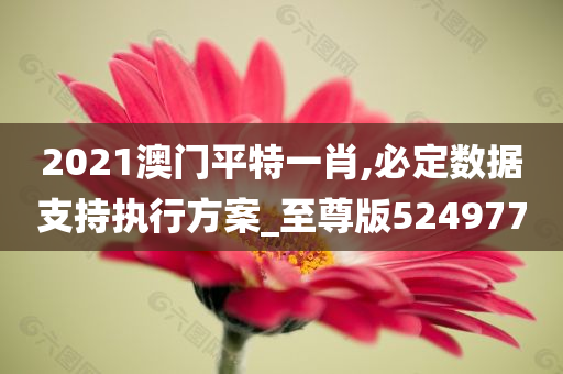 2021澳门平特一肖,必定数据支持执行方案_至尊版524977