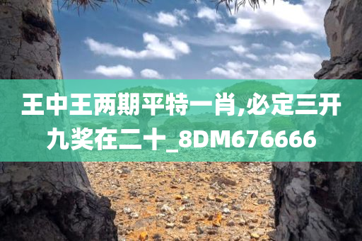 王中王两期平特一肖,必定三开九奖在二十_8DM676666