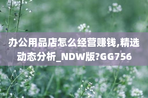 办公用品店怎么经营赚钱,精选动态分析_NDW版?GG756