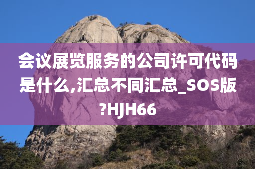 会议展览服务的公司许可代码是什么,汇总不同汇总_SOS版?HJH66