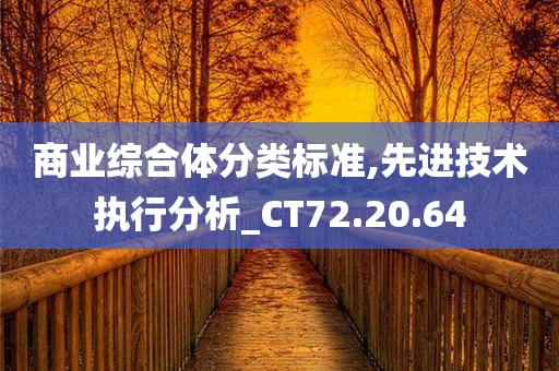 商业综合体分类标准,先进技术执行分析_CT72.20.64