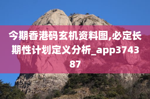 今期香港码玄机资料图,必定长期性计划定义分析_app374387