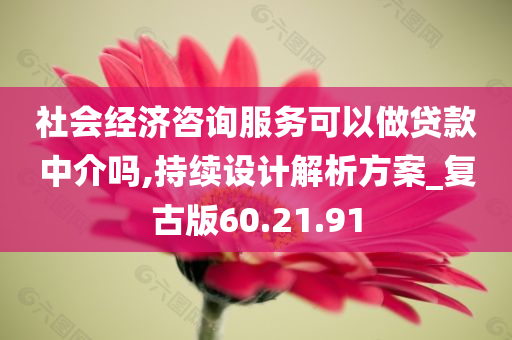 社会经济咨询服务可以做贷款中介吗,持续设计解析方案_复古版60.21.91